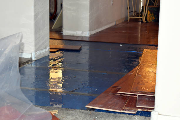 Professional Sewage Cleanup technician working in Tijeras, NM